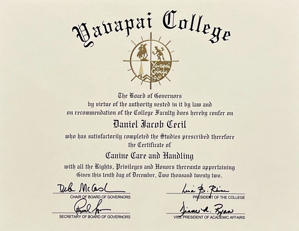 Certificate for Canine Care and Handling