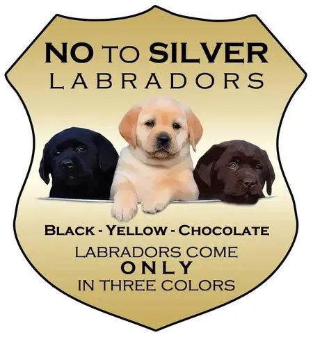 No to Silver Labs